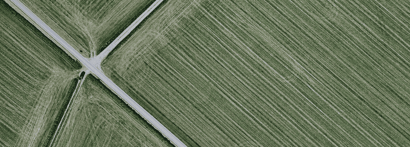 Detection of plants