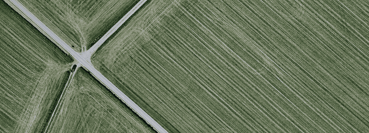 Detection of plants